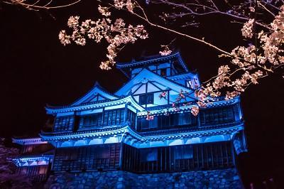 Aloha Inn Aine (Adults Only) Fukuchiyama Bagian luar foto